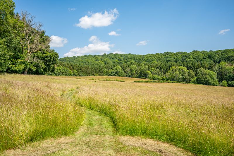 Land- click for photo gallery